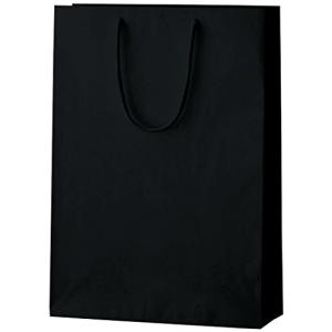 丸玉工業 紙袋 シャイニーバッグ 手提げ袋 Lサイズ 黒 10枚