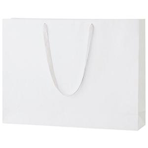 丸玉工業 紙袋 シャイニーバッグ 手提げ袋 LLサイズワイド 白 10枚