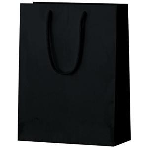 丸玉工業 紙袋 シャイニーバッグ 手提げ袋 Mサイズ 黒 10枚