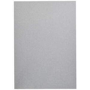長門屋商店 クレヨンカラー A4 ぎんいろ 10枚 ナ-CRM002 0392922