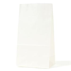 パックタケヤマ 紙袋 マチあり 角底袋 H4 晒 100枚 XZT00421