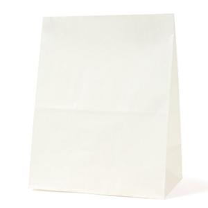パックタケヤマ 紙袋 マチあり 角底袋 H300 晒 100枚 XZT50004