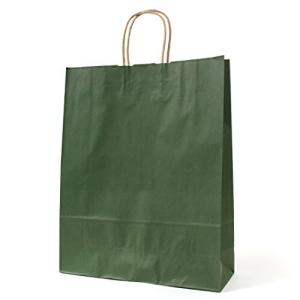 パックタケヤマ 手提げ 紙袋 HZ エメラルド 50枚 XZT00676