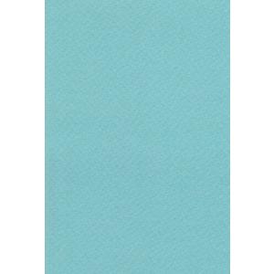 エスケント 水彩紙 マーメイド 153kg 八切 あさぎ 100枚 371238