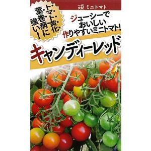 フタバ種苗  トマト キャンディーレッド 種 小袋詰