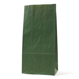 パックタケヤマ 紙袋 マチあり 角底袋 H8 エメラルド 100枚 XZT00411