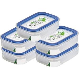 岩崎工業 日本製 抗菌 パッキン付き 密封 4点ロック 保存容器 イージーケア ブルー 200L 5個セット LSX315