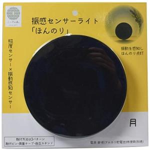 FIN-972MO 振感センサーライト月