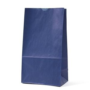 パックタケヤマ 紙袋 ハイバッグ H4 マリン 100枚 XZT00405
