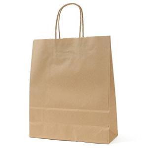 パックタケヤマ 紙袋 マチあり 角底袋 HBT 未晒 50枚 XZT00900