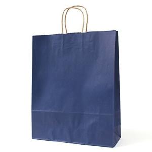 パックタケヤマ 手提げ 紙袋 HZ マリン 50枚 XZT00675