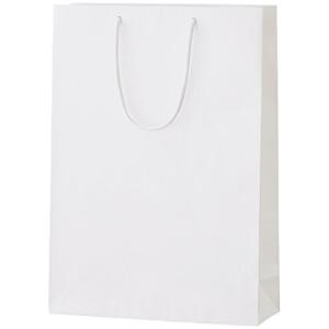 丸玉工業 紙袋 シャイニーバッグ 手提げ袋 Lサイズ 白 10枚