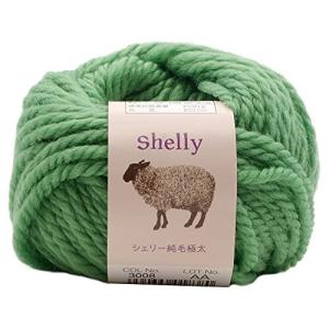 元廣 スキー 手編み毛糸 シェリー純毛極太(10玉セット) Col.3008