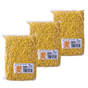 浜市 カラー麦 黄色 3個セット