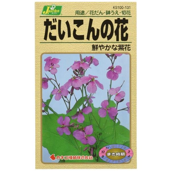 カネコ種苗 園芸・種 KS100シリーズ だいこんの花 鮮やかな紫花 草花100 131