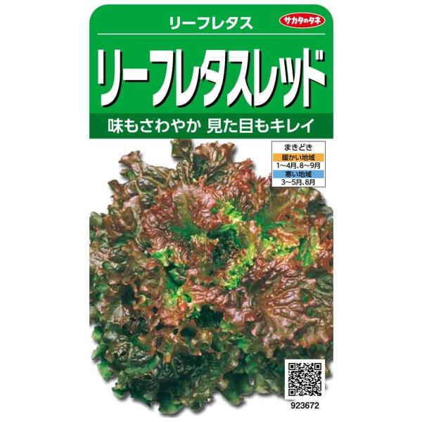 サカタのタネ 実咲野菜3672 リーフレタスレッド リーフレタス 00923672