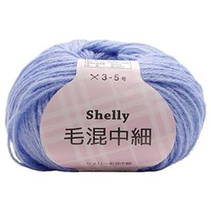 元廣 スキー 手編み毛糸 シェリー毛混中細 Col.609