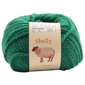 元廣 スキー 手編み毛糸 シェリー純毛並太(10玉セット) Col.2011