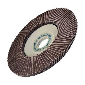 イチグチ ディスクペーパー“テクノディスク A" TD12522A80