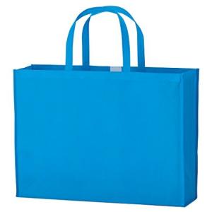 丸玉工業 手提げ袋 ソフトバッグ LLサイズ ライトブルー 10枚 マチ付き