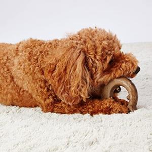 ペティオ 犬用おもちゃ Ethical Door エシカルドア ウッディチューイングトイ アントラーリング