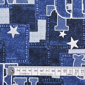 COLORFUL TEXTILE MARKET お気に入りデニムスタイル スケア生地 110cmx100cmD0067910