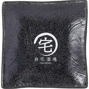 サンアート おもしろ食器 宅飲み 皿 角皿 プレート 10.5cm 自宅酒場 黒御影 日本製 SAN3901