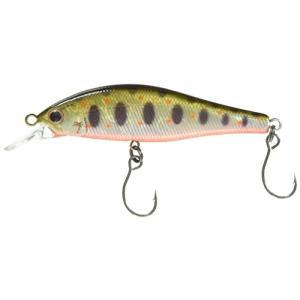 パームス アレキサンドラ70HW MG-441 アマゴオレンジベリー