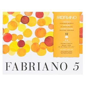 クサカベ 水彩紙 ファブリアーノ ファブリアーノ5 F6 中目 12枚入 F5B-F6 F6 純白