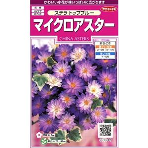 サカタのタネ 実咲花5048 マイクロアスターステラ トップブルー 00905048