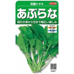 サカタのタネ 実咲野菜2871 あぶらな 和種ナタネ 00922871