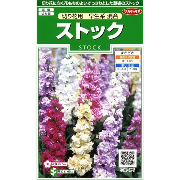 サカタのタネ 実咲花6475 ストック 切り花用早生系混合 00906475