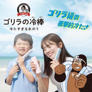 ゴリラの冷棒 氷のう 2WAY 携帯用 アルミ...の詳細画像1