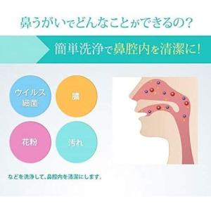 サイナス ・ リンス リフィル 60包 (24...の詳細画像1