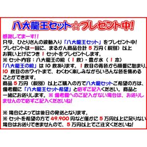 銀座まるかん 眼髪様 約270粒 斎藤一人さん...の詳細画像2