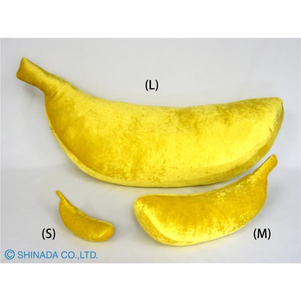 シナダ　黄金バナナ（M）