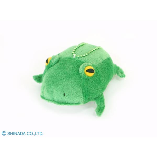 シナダ　カラフル　ドン・ケローネ（S）グリーン