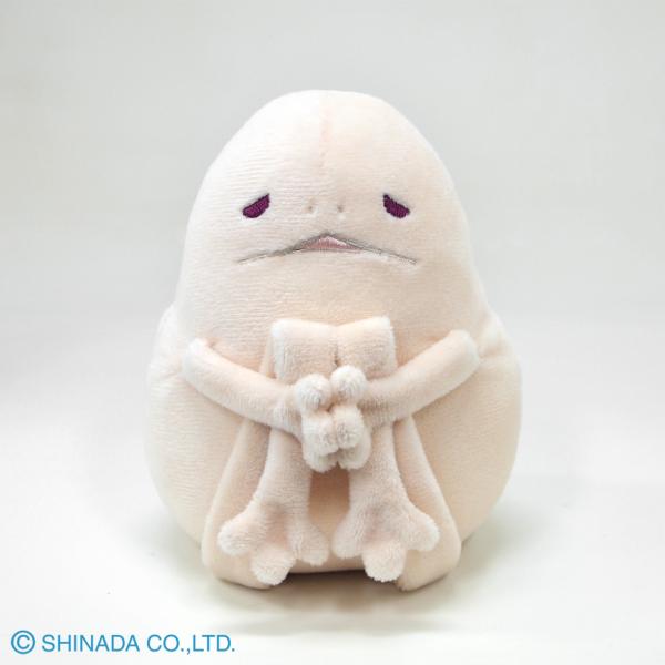 シナダ　ふにすけ（S）白