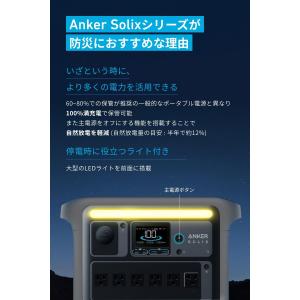 [保証有り] Anker Solix C100...の詳細画像2