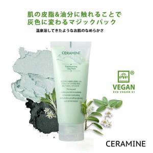 リニューアル♪ ESTHETWIN エステツイン SE クレンジング＆フォーム お