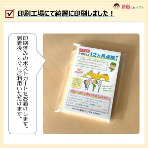 DM‐Pb3 50枚セット「12ヵ月点検のお知...の詳細画像4