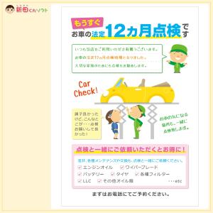 DM‐Pb3 50枚セット「12ヵ月点検のお知...の詳細画像5