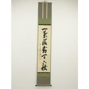 ys7074412;  前大徳　藤井誡堂筆　「一葉落知天下秋」一行書　肉筆紙本掛軸（共箱）【道】