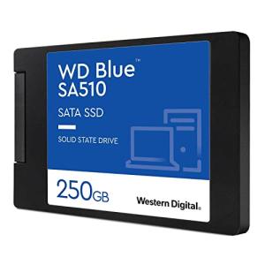 WDS250G3B0A-EC ウエスタンデジタル 2.5インチ Blue WD