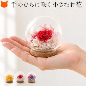 高級感 プリザーブドフラワー ガラスドーム ミニ ローズ アレンジメント ドライフラワー 誕生日 母の日 プレゼント 誕生日 花 母の日ギフト 花ギフト