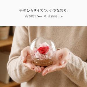 高級感 プリザーブドフラワー ガラスドーム ミ...の詳細画像2