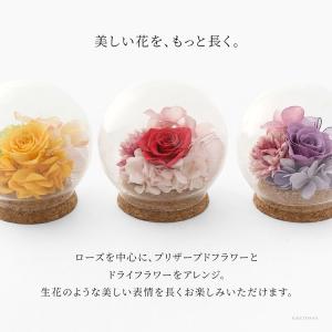 高級感 プリザーブドフラワー ガラスドーム ミ...の詳細画像4