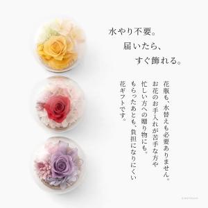 高級感 プリザーブドフラワー ガラスドーム ミ...の詳細画像5