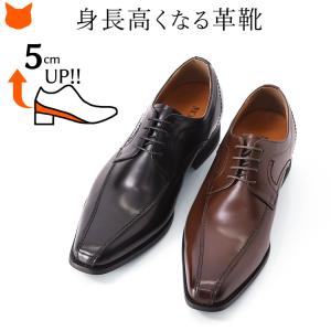 COLE HAAN（コールハーン） ビジネスシューズ C12202 Williams Cap Toe