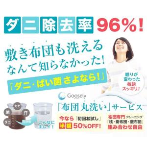 布団 ふとん クリーニング 宅配 丸洗い ダニ 対策 退治 グースリー ウォッシュ 年間コース全3回 2枚コース